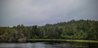 Zijn voordelige hotels en andere accommodatie beschikbaar in center parcs bij goed weer?