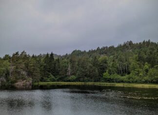 Zijn voordelige hotels en andere accommodatie beschikbaar in center parcs bij goed weer?