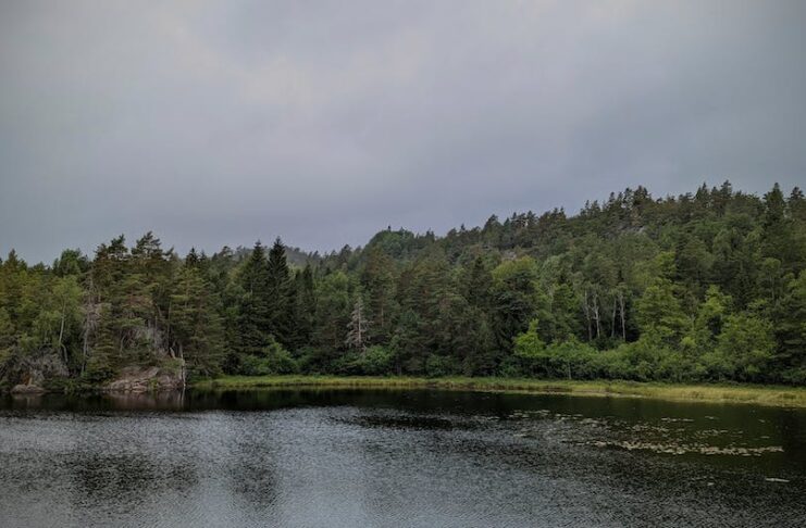 Zijn voordelige hotels en andere accommodatie beschikbaar in center parcs bij goed weer?
