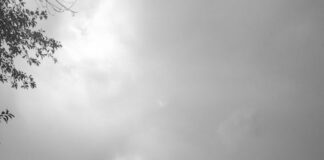Wat is het weer op zondag?