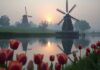 Verhuizen naar friesland: tips voor jouw nieuwe huurwoning